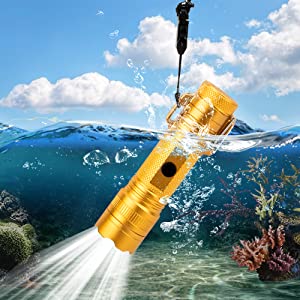 Waterproof Lighter USB Plasma Lighter Rechargeable Electric Lighter Waterproof with Flashlight Flameless Lighter Windproof Arc Lighter for Outdoor Camping Hiking (Gold)